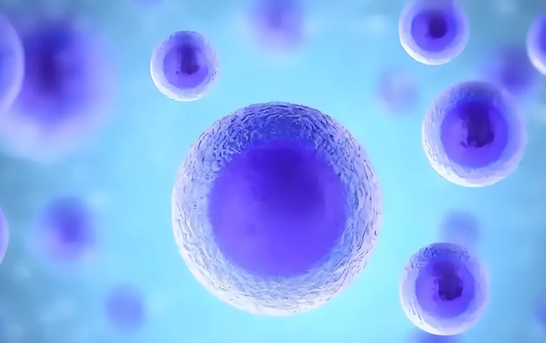 自主研发：CellTiter-Luc Luminescent Cell Viability Assay Kit细胞活力试剂